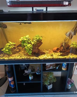 acquario 220 LT Ciano 