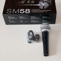 Microfono Professionale 