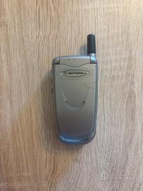 Motorola v51