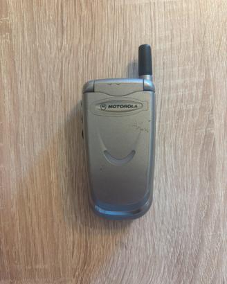 Motorola v51