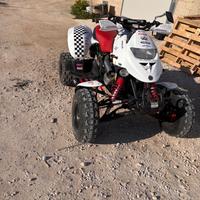Can-Am Altro modello - 2003