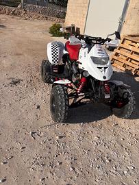 Can-Am Altro modello - 2003