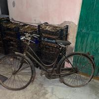 Bici Bianchi da donna 1949 freni a bacchetta