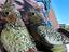 Immagine 1