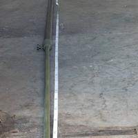 asta per caccia al colombaccio 