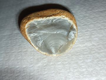 Pietra Selce Agata Grigia Traslucida da Collezione