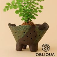 vaso in grès per kokedama e Neofinetia 