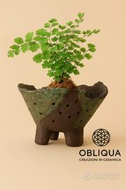 vaso in grès per kokedama e Neofinetia 