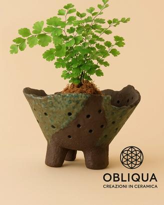 vaso in grès per kokedama e Neofinetia 