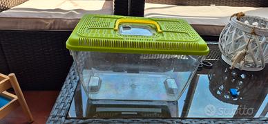 vaschetta pesci 30x18 cm