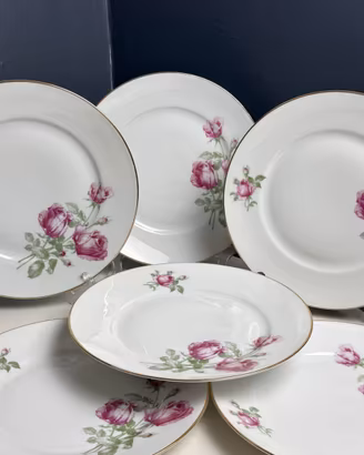 Set 6 Piatti Piani Vintage Richard Ginori
