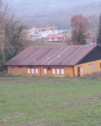 Locale commerciale a lioni