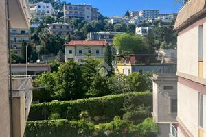 3 LOCALI A ALBISSOLA MARINA