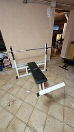 Panca Piana Professionale TECHNOGYM (Serie Silver)