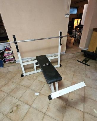 Panca Piana Professionale TECHNOGYM (Serie Silver)