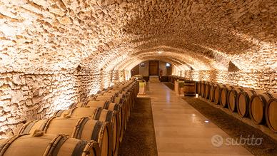Lista vini