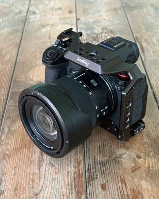 Panasonic Lumix S5 + 20-60 f/3.5-5.6 + cage