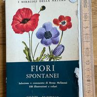 manule, libretto FIORI SPONTANEI