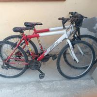 Bici Mountain bike