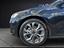 Immagine 19