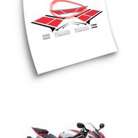 Kit adesivi grafica anniversario R6 2012