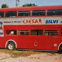 bus londinese anni 50 