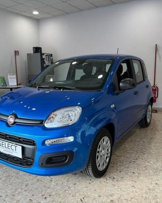 FIAT Panda 1.0 FireFly S&S Hybrid Icon