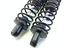 Immagine 5