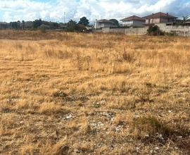 Terreno agricolo 20.000 mq mascalucia bassa