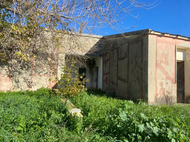 Terreno in piena produzione valle del belice