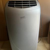 Condizionatore/Pinguino