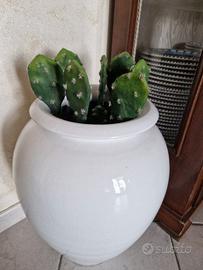 Vaso Grande