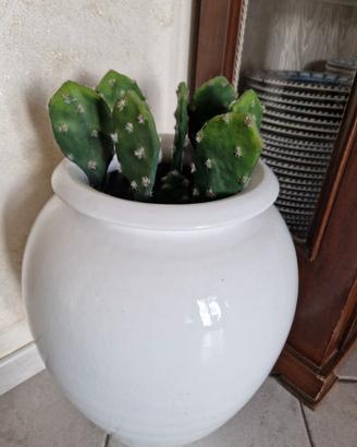 Vaso Grande