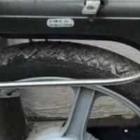 Ricambio Piaggio si porta borsa laterale