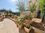 Immagine 26