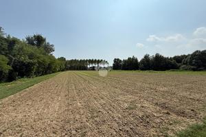 TER. AGRICOLO A MIRANO