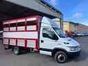 iveco-daily-35c13-trasporto-animali-vivi-patente-b