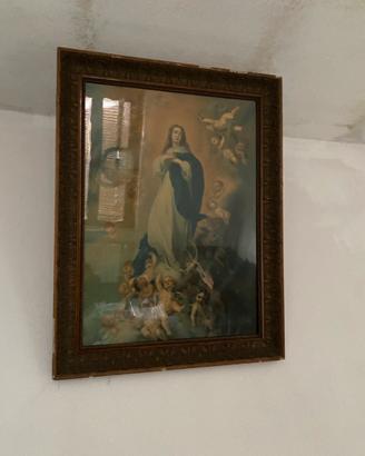 Quadrii