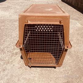 gabbia per cane  