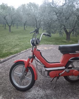 Piaggio Si