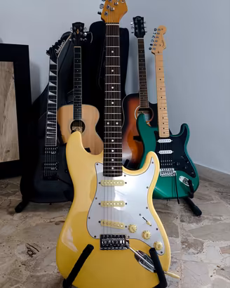 Chitarra elettrica Eko S300 +Setup +Regali