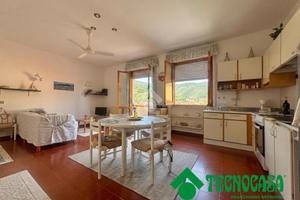 4 LOCALI A AMEGLIA