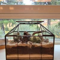 Terrarium Deserto