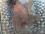 Immagine 3