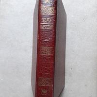 LIBRO "IL DESTINO DEL LEONE" WILBUR SMITH