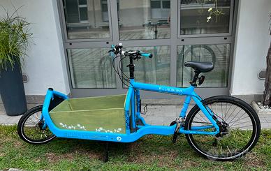 Cargo bike Larry vs Harry