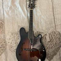 Mandolino Fender FM62 Robert Schmidt