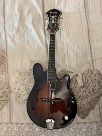 Mandolino Fender FM62 Robert Schmidt