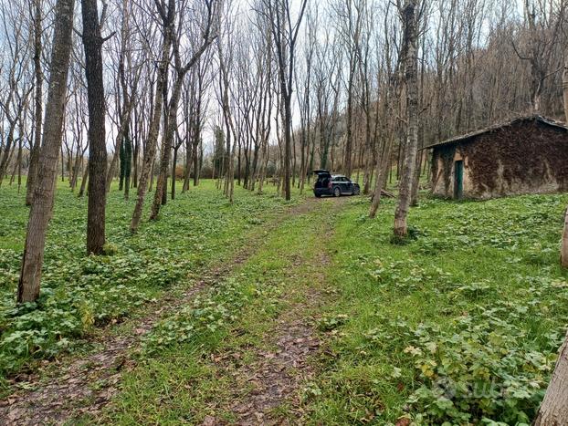 Terreno agricolo