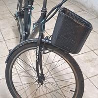 Ebike Armony Firenze 250W 36V